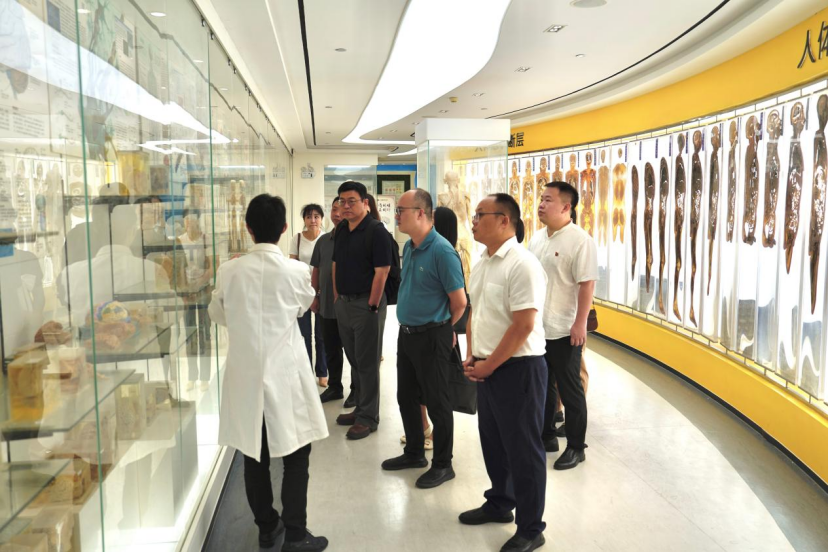 BET体育365登录入口